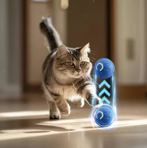 🐶🐱 Pelota Inteligente para Perros y Gatos – ¡Diversión Interactiva Sin Fin! 🐶🐱
