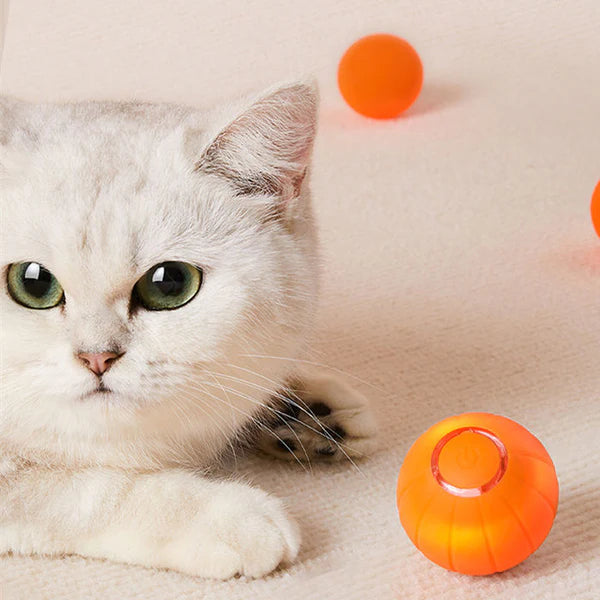 🐶🐱 Pelota Inteligente para Perros y Gatos – ¡Diversión Interactiva Sin Fin! 🐶🐱